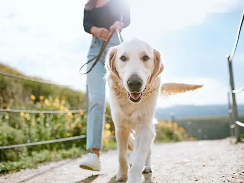 Biofeedback Practitioner, Johnson City, TN