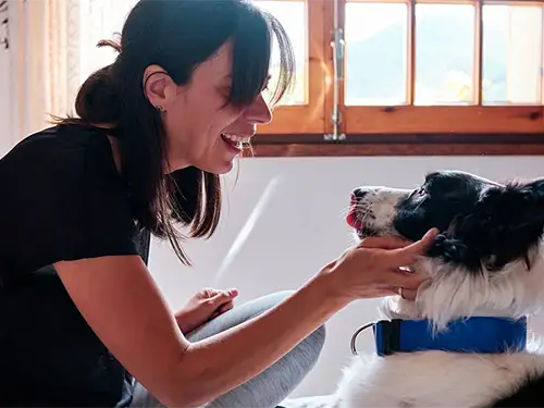 Biofeedback, Johnson City, TN