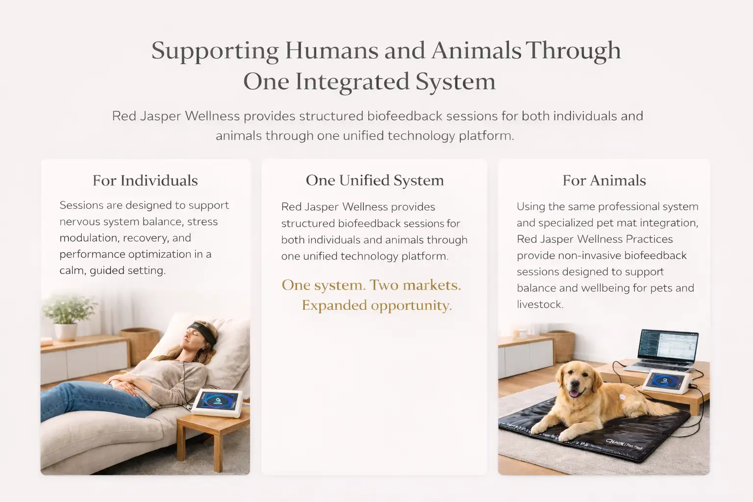 Franchise Opportunities, Jonesborough, TN