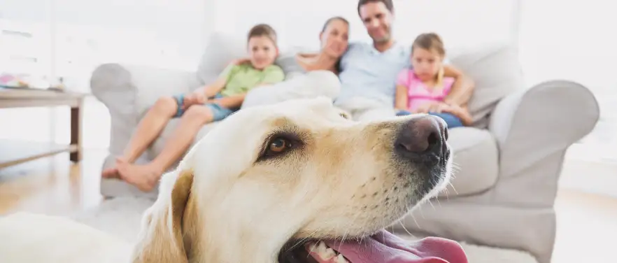 Our Gallery Our Gallery