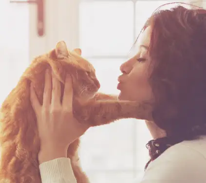 Our Gallery Our Gallery