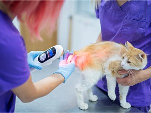 Chroma Color and Lymphatic Drainage