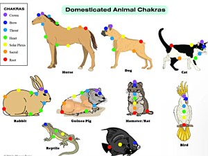 Chakra and Aura Harmonization